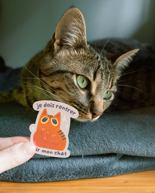 Je dois rentrer voir mon chat - Sticker scintillant